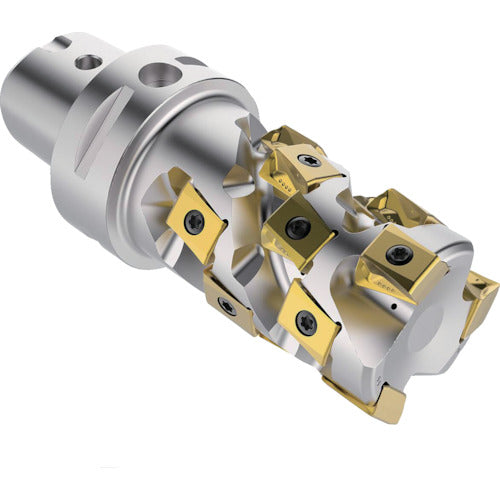 세코 밀링 스퀘어 T4 커터 C6-R217.94-050-081-12.4SA 1개