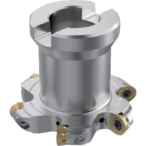 세코 밀링 사이드 커터 335.18/25 커터 R335.29I-063.10.22-6N-R5A 1개