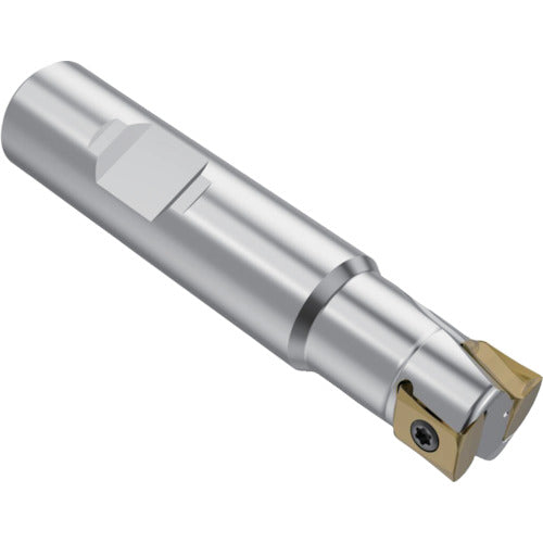 セコ　フライス　スクエアＴ４カッタ―　Ｒ２１７．９４ー０８　R217.94-2018.3-08-2A　1 個