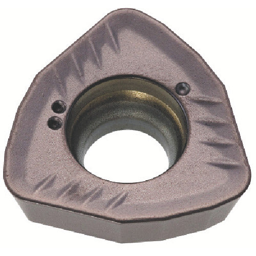 ＭＯＬＤＩＮＯ　カッタ用インサート　ＷＤＮＴ０９Ｔ３２０　ＪＳ４０６０　ＪＳ４０６０　WDNT09T320　10 個