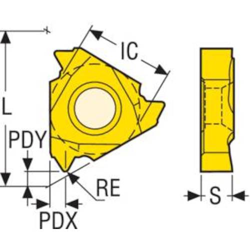 セコ　内径　旋削　ＩＳＯ　ねじ切り用インサート（ＮＲ）　ＣＰ５００　22NR4.5ISO　2 個