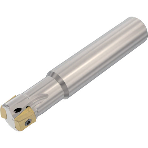 세코 밀링 스퀘어 T4 커터 - R217.94-08 R217.94-1616.0-08-2A 1 개