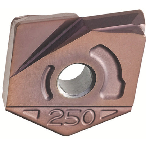 ＭＯＬＤＩＮＯ　カッタ用チップ　ＺＣＦＷ２５０−Ｒ２．０　ＰＣＡ１２Ｍ　ＰＣＡ１２Ｍ　ZCFW250-R2.0　2 個