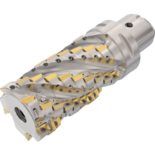 세코 밀링 터보 밀 커터 C6-R217.69-063-107-12.5SAN 1 개