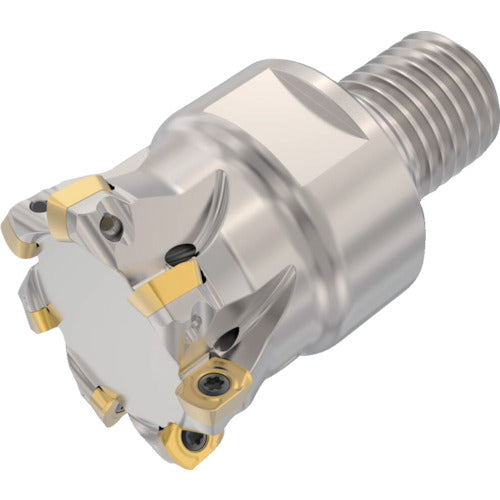 세코 밀링 고이송 커터 하이피드 2 R217.21-LP06 R217.21-1632.RE-LP06.5A 1개