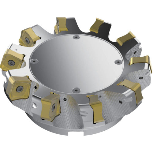 Seco Milling Double Quattro Mill R220.56-22 R220.56-8160-22-10A 1 piece