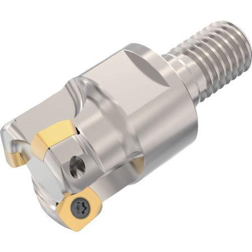 세코 밀링 고이송 커터 하이피드 2 R217.21-LP06 R217.21-1225.RE-LP06.3A 1개