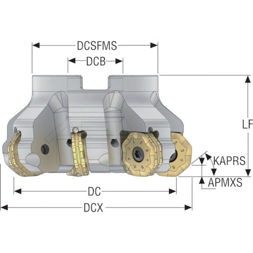 セコ　フライス　ダブルオクトミル　Ｒ２２０．４８ー０９　カッター　R220.48-0125-09-08SA　1 個