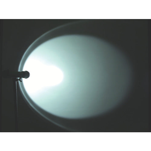 ＮＩＣＨＩＤＯ　ＬＥＤプラグインライトミニ　屋内用　昼光色　PIL-05W-SS　1 個