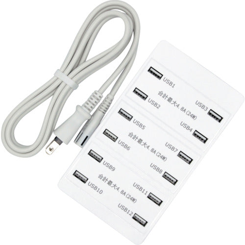 STARLIGHT 12-port USB charger SK-CH12A72WPO 1 piece