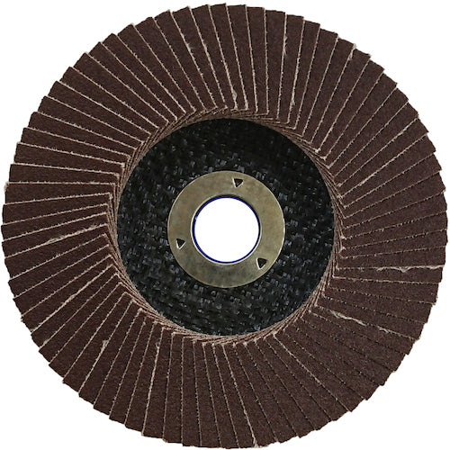 ＮＲＳ　ペーパー多羽根ホイル　Ｓホイル　１００×１５　Ａ１００　SWL10072A100　10 枚