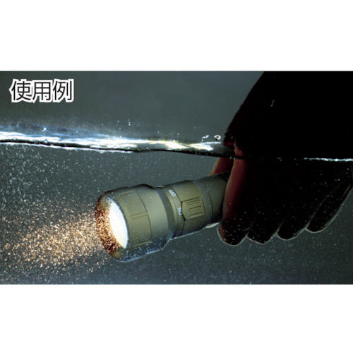 ＴＲＵＳＣＯ　リチウムイオン充電電池　TICR-1971-S　1 個