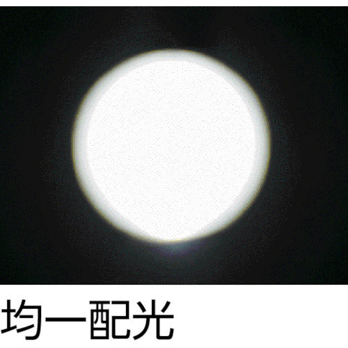 ＴＲＵＳＣＯ　リチウムイオン充電電池　TICR-1971-S　1 個