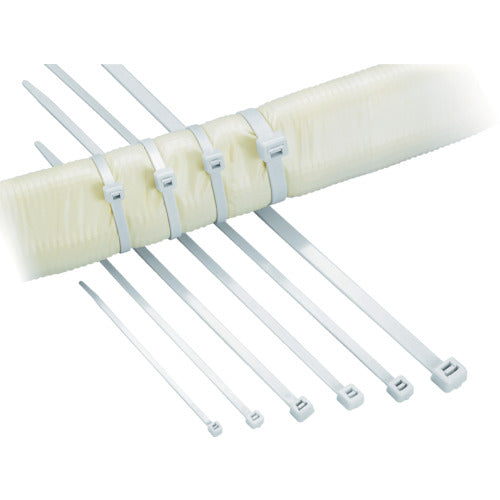 TYTON AB 타이 폭 2.5X 길이 100mm 옥외용(100개입) AB100-100-IVY 1봉