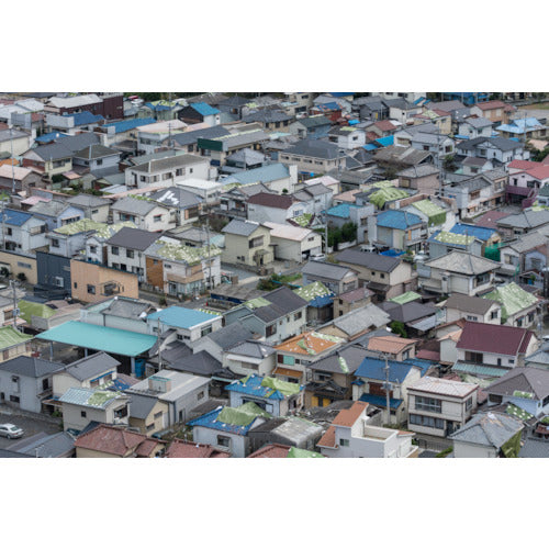 Hagiwara Tarpee Disaster Prevention and Reduction Sheet #3000 OD Green 5.4m x 7.2m BOUSAI-OD5472 1 sheet