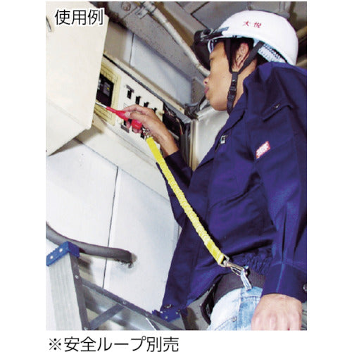 ＴＲＵＳＣＯ　落下防止電工ドライバー　＋２Ｘ１００　TDDR-2-100　1 本