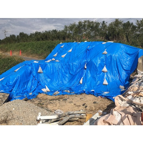 Hagiwara Tarpee Eco Friend Sheet #3000 2.7m x 5.4m ECOFRI-2754 1 sheet