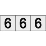 ＴＲＵＳＣＯ　数字ステッカー　３０×３０　「６」　透明地／黒文字　３枚入　TSN-30-6-TM　1 組