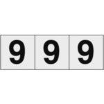 ＴＲＵＳＣＯ　数字ステッカー　３０×３０　「９」　透明地／黒文字　３枚入　TSN-30-9-TM　1 組