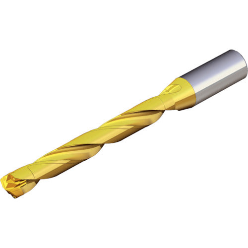 TEAGUTEC 칼날 교환식 드릴 홀더 드릴 러쉬 TCD 250-259-32S0-8D 1개