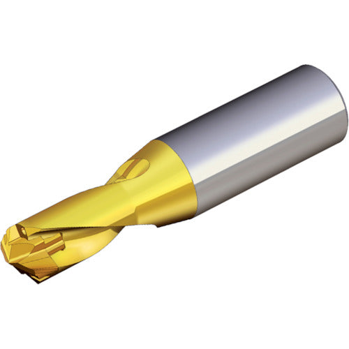ＴＥＡＧＵＴＥＣ　刃先交換式ドリルホルダー　ドリルラッシュ　TCD 090-099-12S0-1.5D　1 本