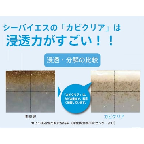 CXS Mold Removal Cleaner Mold Clear 5L 5791198 1 pc