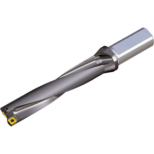 TEAGUTEC replaceable drill holder Top drill TOP 5175-25T2-06 1 piece