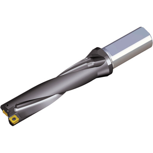 TEAGUTEC replaceable drill holder top drill TOP 4120-20T2-04 1 piece