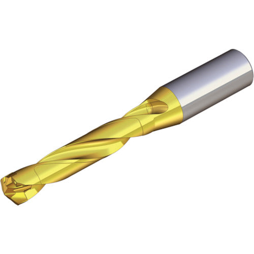 ＴＥＡＧＵＴＥＣ　刃先交換式ドリルホルダー　ドリルラッシュ　TCD 220-229-25S0-5D　1 本