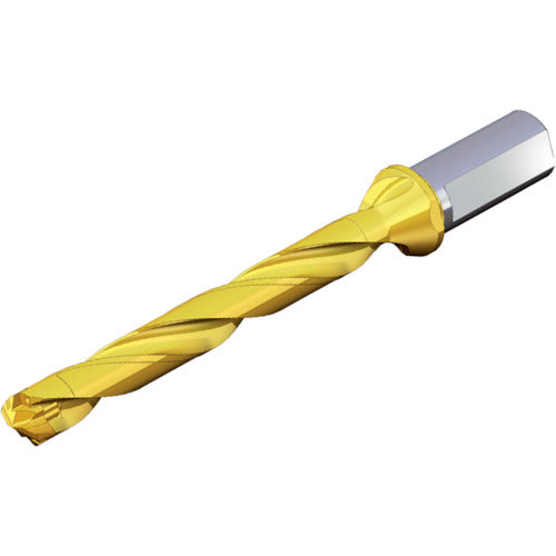 ＴＥＡＧＵＴＥＣ　刃先交換式ドリルホルダー　ドリルラッシュ　TCD 230-239-32T2-8D　1 本