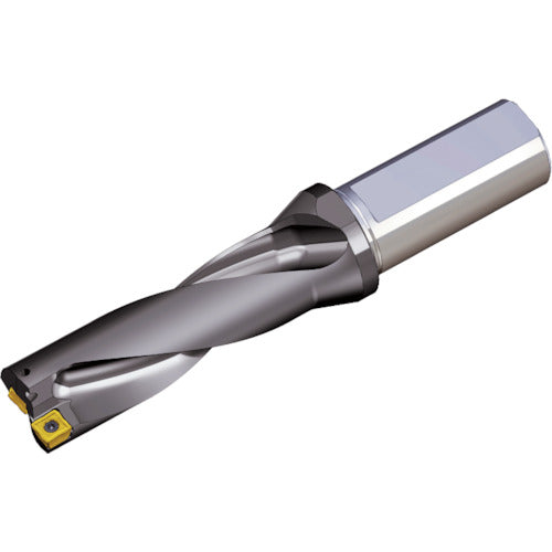 TEAGUTEC 칼날 교환식 드릴 홀더 톱 드릴 TOP 3250-32T2-08 1개