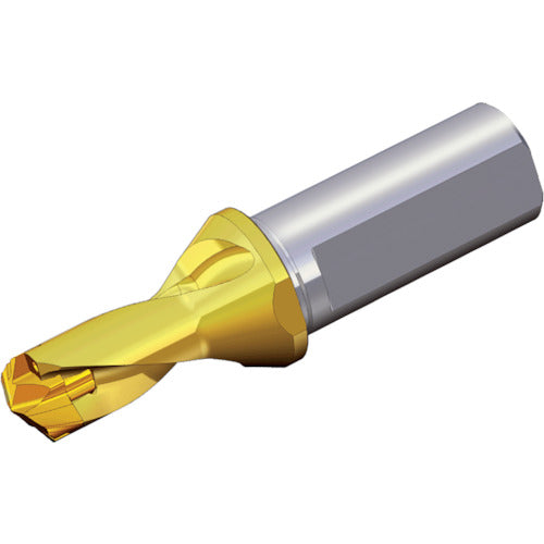 TEAGUTEC 칼날 교환식 드릴 홀더 드릴 러쉬 TCD 250-259-32T2-1.5D 1개