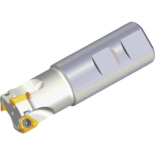 TEAGUTEC 밀링 커터 밀러쉬 3P TE90-221-20-10-L200 1개