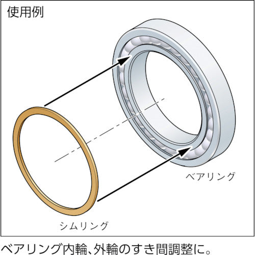 ＩＷＡＴＡ　シムリング（鉄）　１０Ｘ１６Ｘ０．２ｍｍ　（１０枚入）　RF010016020　1 袋
