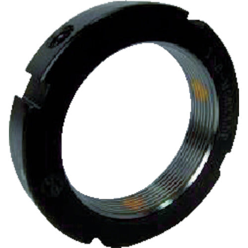 EVN 잠금 너트 EPT 직각 0.005 M25×1.5 EPT25N-5-M25X1.5 1개