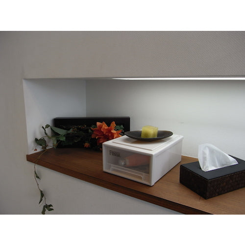 ＴＥＮＭＡ　フィッツケース（スモール）　カプチーノ　２２４×３０７×１２４　811001035　1 個