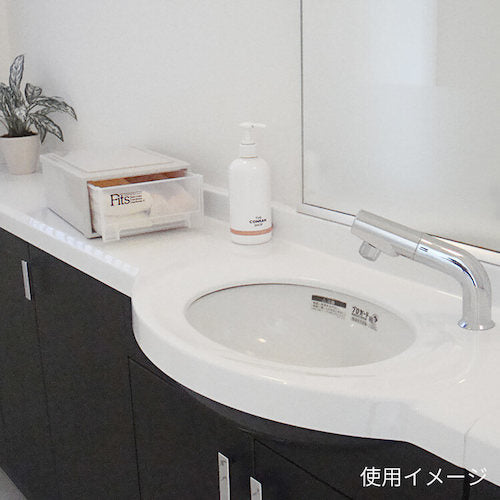 ＴＥＮＭＡ　フィッツケース（スモール）　カプチーノ　２２４×３０７×１２４　811001035　1 個