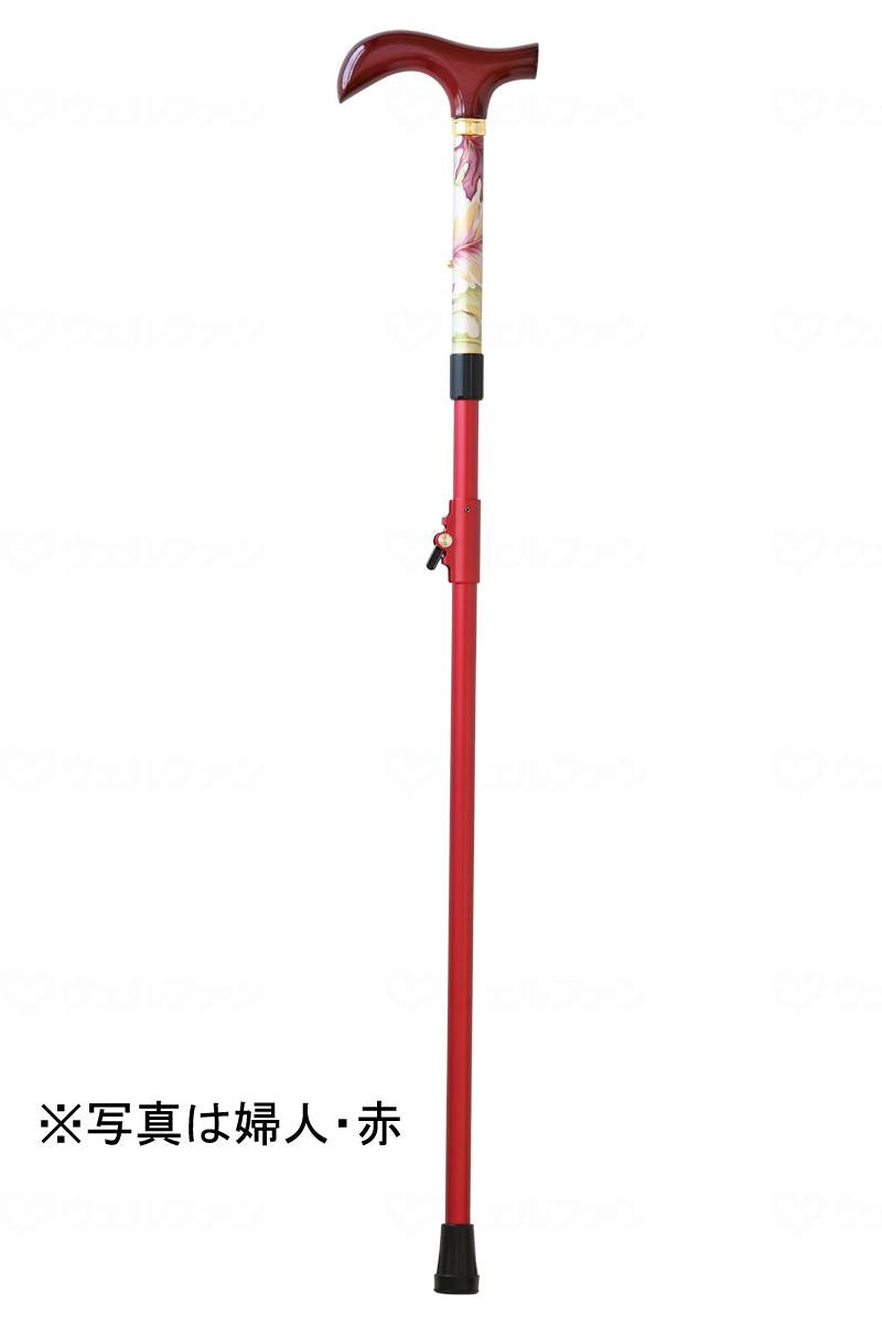 ワイズｱｲｽﾋﾟｯｸｽﾃｯｷ　婦人 黒