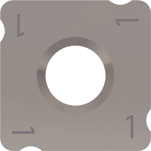 후지모토 료멘 컷 R, 미니 R, 한창만 R용 칩 ZA20N SNEQ090308-1RY 12개