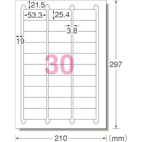 ３Ｍ　エーワン［［ＴＭ上］］　ラベルシール（プリンタ兼用）キレイにはがせる　３０面　（１０枚）　31277　1 PK