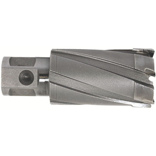 Ikura Light Borer Replacement Blade (Carbide Blade) (51010) CCSQ195 1 piece