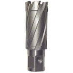 Ikura Light Borer Replacement Blade (Carbide Blade) (51094) CRSQ240 1 piece