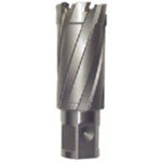 육양 라이트 볼러용 교체날(초경날)(51096) CRSQ250 1개