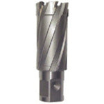 육양 라이트 볼러용 교체날(초경날)(51099) CRSQ270 1개