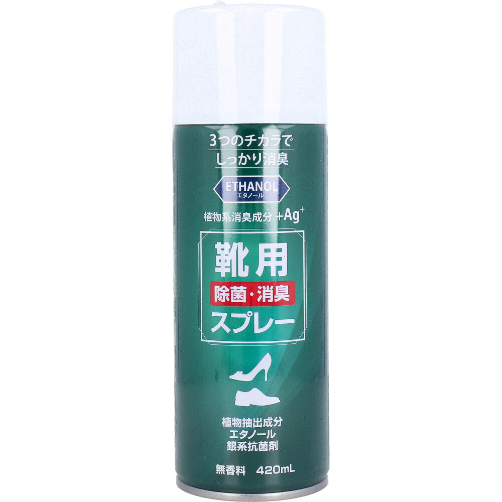 靴用 除菌消臭スプレー 無香料 420mL 1 個