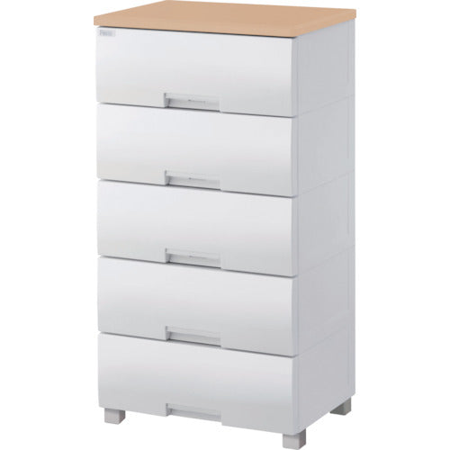 ＴＥＮＭＡ　フィッツプラス　Ｆ５５０５　メープル　110005580　1 台