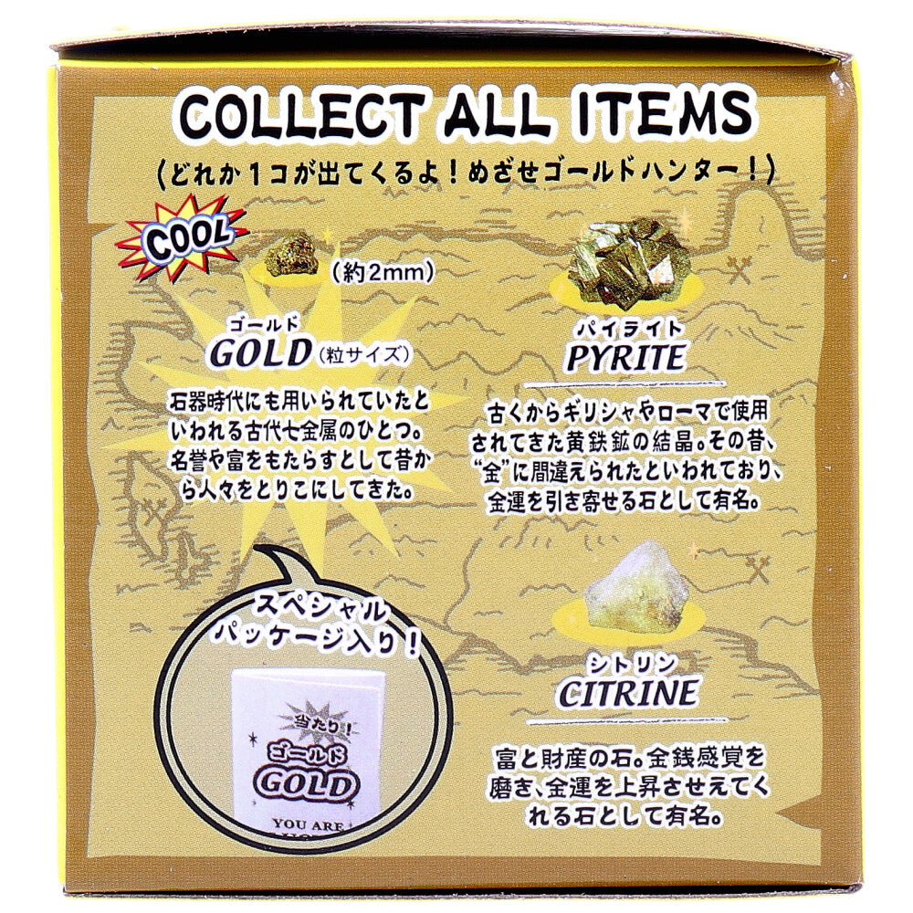 Treasure Discovery Series Gold Discovery! 1 set 1 piece