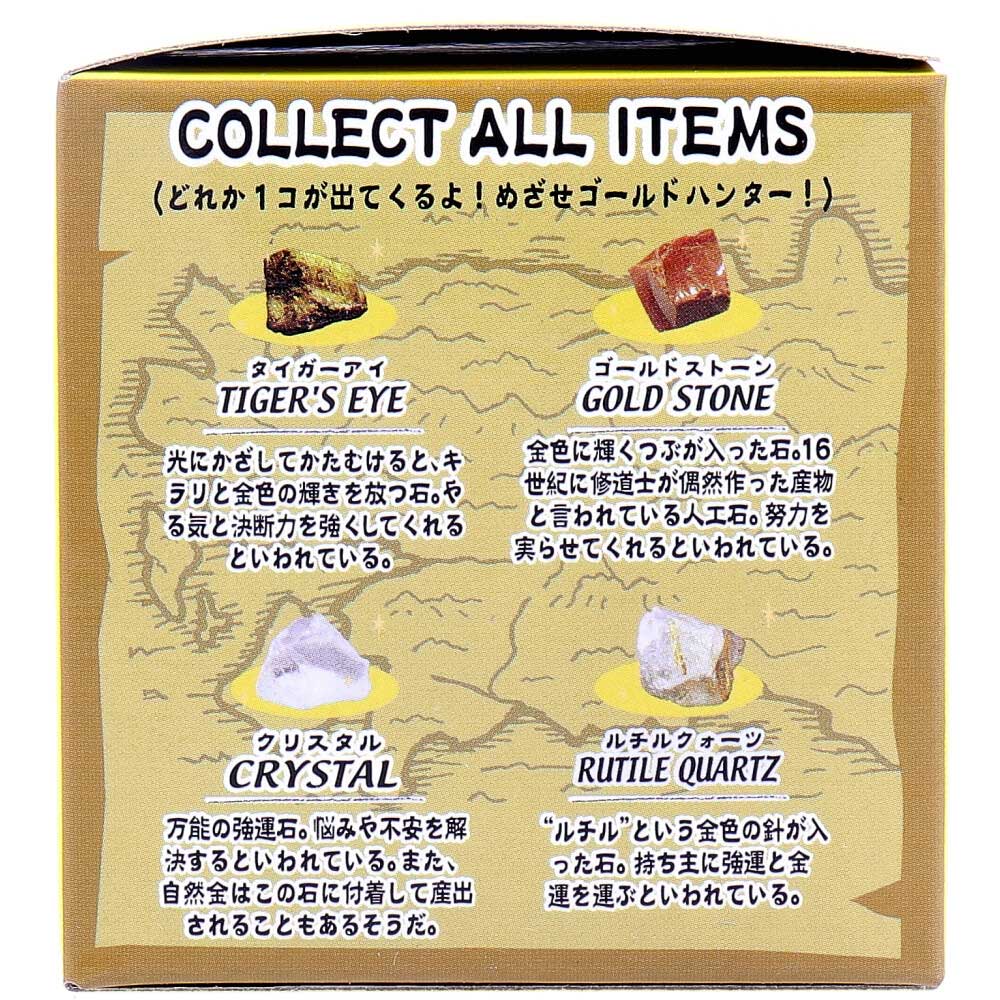 Treasure Discovery Series Gold Discovery! 1 set 1 piece