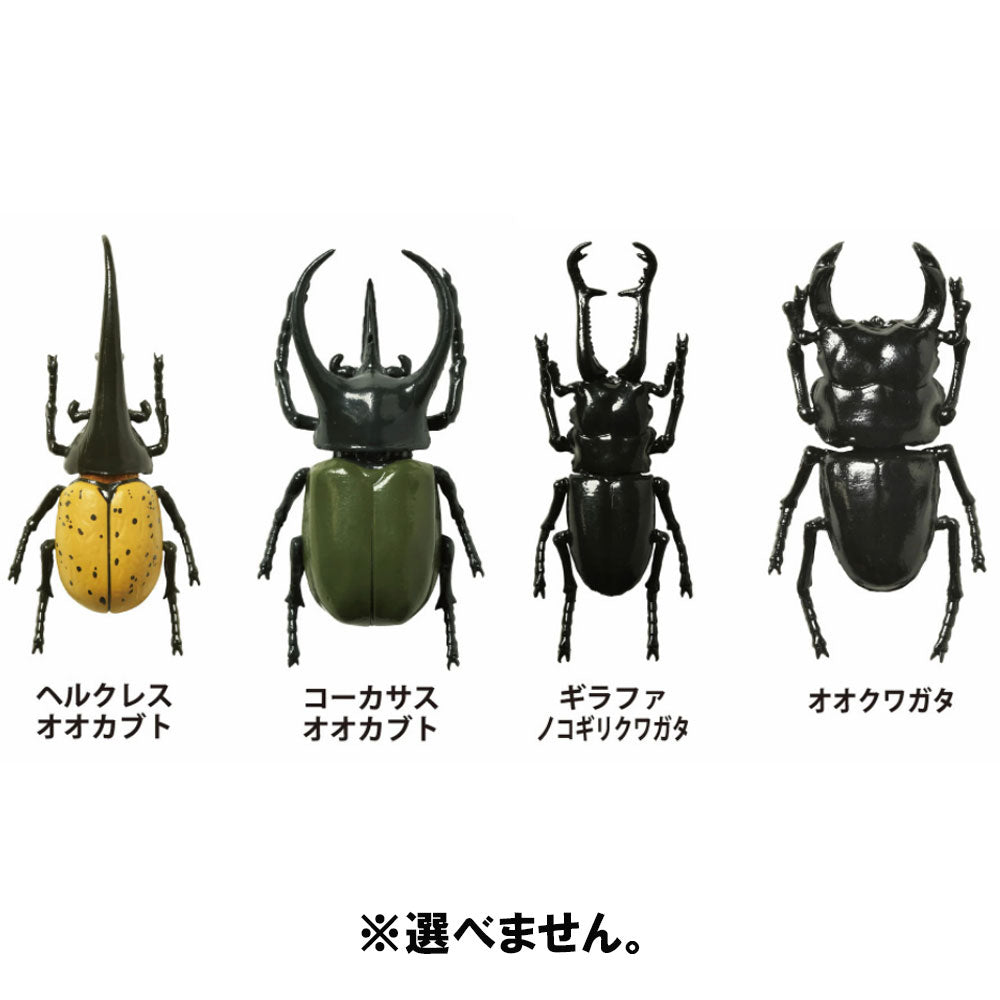 Gakken's Illustrated Live Beetles and Stag Beetles Foam-type Bath Additive Big Bath Ball Refreshing Sky Scent 1 pc. 1 pc.
