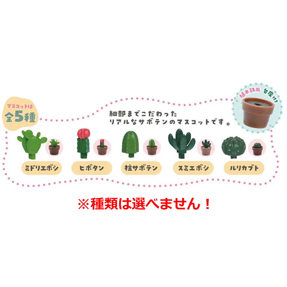 写実シリーズ サボテン バスボール リラックスできるグリーンの香り 50g 1回分 1 個